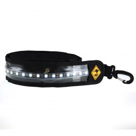 12V Portable Lights